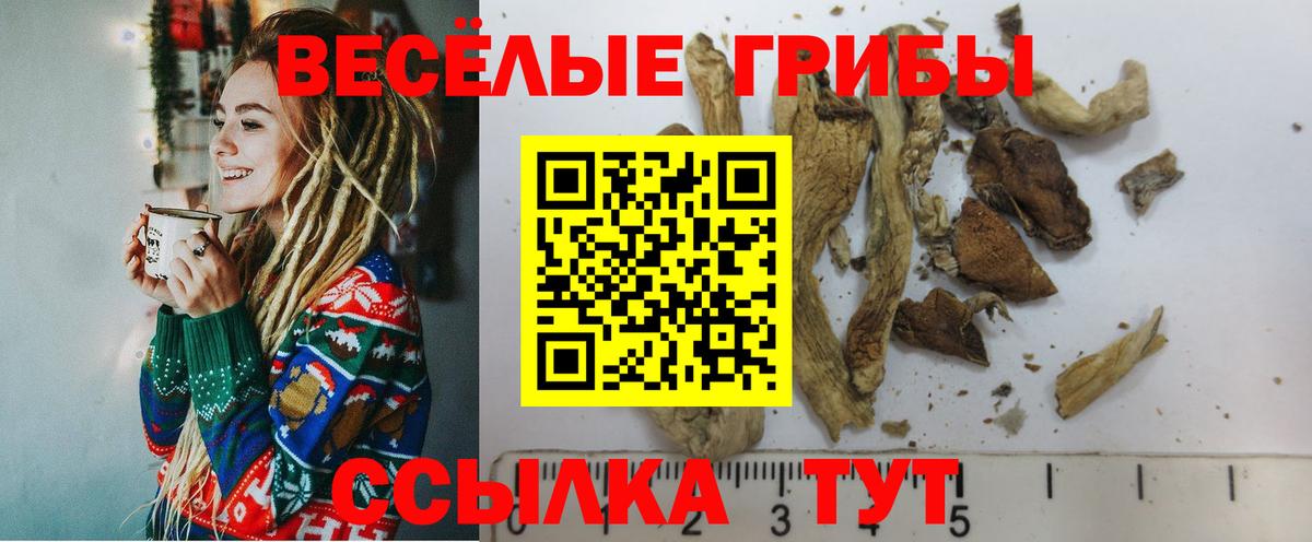 Галлюциногенные грибы Magic Shrooms  Вход с VPN  Галлюциногенные грибы ЛСД  Куйбышев 