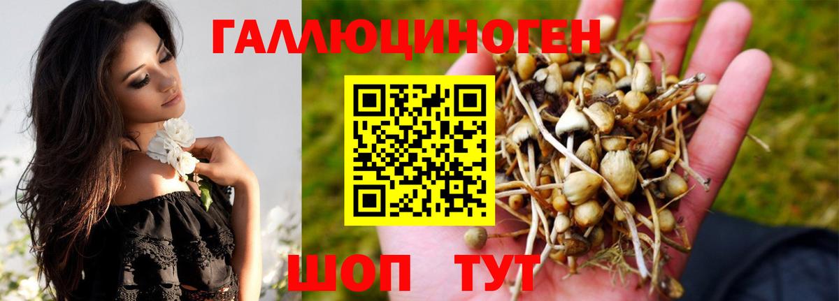 Галлюциногенные грибы GOLDEN TEACHER Куйбышев